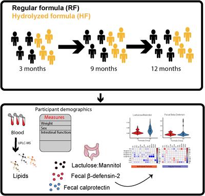 Impact of Extensively Hydrolyzed Infant Formula on Circulating Lipids During Early Life